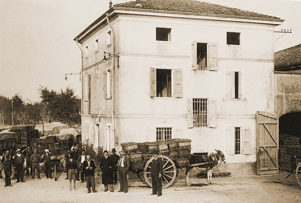 storia cantina santa croce