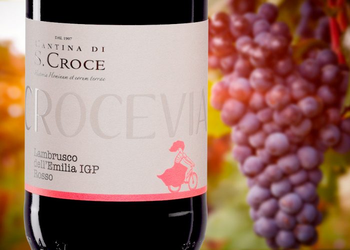 LINEE-crocevia-santa-croce-lambrusco